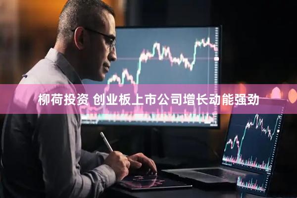 柳荷投资 创业板上市公司增长动能强劲